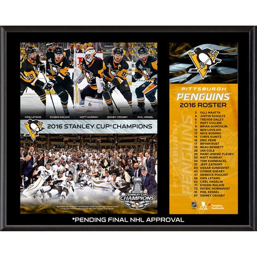 pittsburgh penguins stanley cup plaque, penguins champions plaque, pittsburgh penguins 2016 stanley cup plaqe